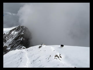 АЛТАЙ. 300 метров над уровнем моря