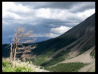 АЛТАЙ. 300 метров над уровнем моря
