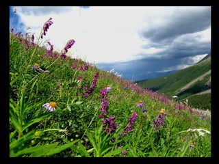 АЛТАЙ. 300 метров над уровнем моря