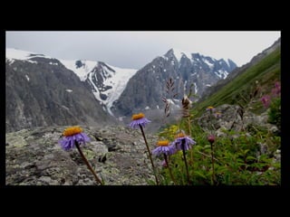 АЛТАЙ. 300 метров над уровнем моря