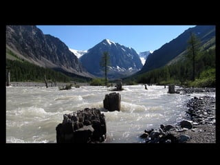 АЛТАЙ. 300 метров над уровнем моря