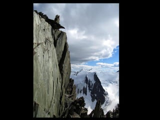 АЛТАЙ. 300 метров над уровнем моря