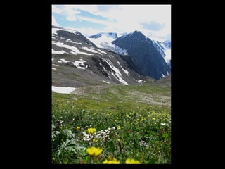 АЛТАЙ. 300 метров над уровнем моря