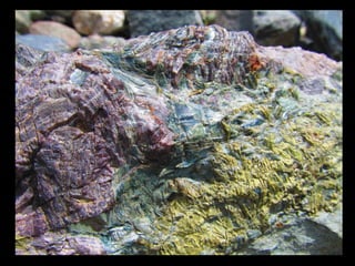 АЛТАЙ. 300 метров над уровнем моря