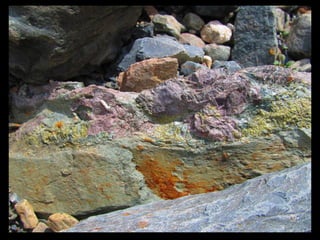 АЛТАЙ. 300 метров над уровнем моря