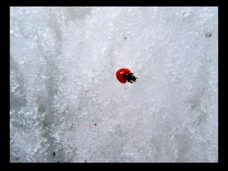 АЛТАЙ. 300 метров над уровнем моря