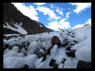 АЛТАЙ. 300 метров над уровнем моря