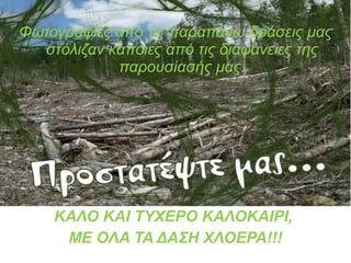 Φωτογραφίες από τις παραπάνω δράσεις μας 
στόλιζαν κάποιες από τις διαφάνειες της 
παρουσίασής μας. 
ΚΑΛΟ ΚΑΙ ΤΥΧΕΡΟ ΚΑΛΟΚΑΙΡΙ, 
ΜΕ OΛΑ ΤΑ ΔΑΣΗ ΧΛΟΕΡΑ!!! 
 