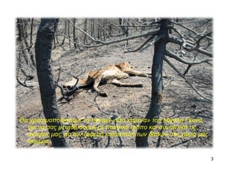 Θα χρησιμοποιήσουμε το ποίημα «Στα καμένα» του Μιχάλη Γκανά, 
για να σας μεταδώσουμε με ποιητικό τρόπο και συνοπτικά τις 
σκέψεις μας για την ζοφερή κατάσταση των δασών στη χώρα μας 
σήμερα. 
3 
 