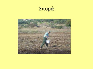 Σπορά 
 