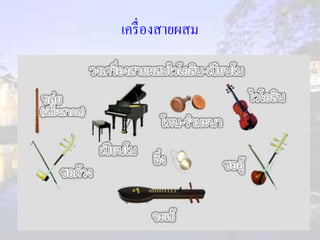 เครื่องสายผสม 
 