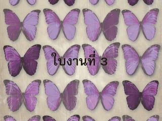 ใบงานที่ 3 
 