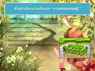 ตัวอย่างโครงงานประเภท “ การทดลองทฤษฎี” 
1.การทดลองปัจจัยต่างๆ ในการเลี้ยงปลานิลด้วยคอมพิวเตอร์ 
2. การทดลองปัจจัยต่างๆ ในการเพาะปลูกแก้วมังกรด้วยคอมพิวเตอร์ 
3. การทดลองผสมสารเคมีต่างๆ ด้วยคอมพิวเตอร์ 
4. ปัจจัยต่างๆ กับการเคลื่อนที่ของเครื่องบิน 
5. ผลการปลูกข้าวในสภาวะแวดล้อมที่ต่างกัน 
6. โปรแกรมสังเคราะห์เสียงพูดเบื้องต้น 
7. โปรแกรมจาลองการทางานของเครื่องคอมพิวเตอร์ส่วนบุคคล 
 