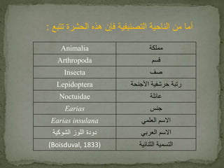 أما من الناحية التصنيفية فإن هذه الحشرة تتبع : 
Animalia مملكة 
Arthropoda قسم 
Insecta صف 
Lepidoptera رتبة حرشفية الأجنحة 
Noctuidae عائلة 
Earias جنس 
Earias insulana الاسم العلمي 
الاسم العربي دودة اللوز الشوكية 
(Boisduval, التسمية الثنائية ( 1833 
 