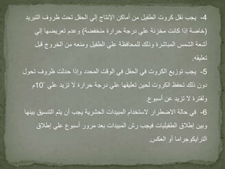 -4 يجب نقل كروت الطفيل من أماكن الإنتاج إلي الحقل تحت ظروف التبريد 
)خاصة إذا كانت مخزنة علي درجة حرارة منخفضة( وعدم تعريضها إلي 
أشعة الشمس المباشرة وذلك للمحافظة علي الطفيل ومنعه من الخروج قبل 
تعليقه. 
-5 يجب توزيع الكروت في الحقل في الوقت المحدد وإذا حدثت ظروف تحول 
دون ذلك تحفظ الكروت لحين تعليقها علي درجة حرارة لا تزيد علي 10ْ م 
ولفترة لا تزيد عن أسبوع. 
-6 في حالة الاضطرار لاستخدام المبيدات الحشرية يجب أن يتم التنسيق بينها 
وبين إطلاق الطفيليات فيجب رش المبيدات بعد مرور أسبوع علي إطلاق 
الترايكوجراما أو العكس. 
 
