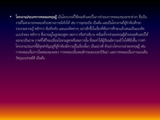 • โครงงานประเภทการทดลองทฤษฎีเป็นโครงงานที่ใชค้อมพิวเตอร์ในการจา ลองการทดลองของสาขาต่างๆ ซึ่งเป็น 
งานที่ไม่สามารถทดลองดว้ยสถานการณ์จริงได้เช่น การจุดระเบิด เป็นตน้ และเป็นโครงงานที่ผูท้า ตอ้งศึกษา 
รวบรวมความรู้หลกัการ ขอ้เท็จจริง และแนวคิดต่างๆ อย่างลึกซึ้งในเรื่องที่ตอ้งการศึกษาแลว้เสนอเป็นแนวคิด 
แบบจา ลอง หลกัการ ซึ่งอาจอยู่ในรูปของสูตร สมการ หรือคา อธิบาย พรอ้มทงั้ารจา ลองทฤษฏีดว้ยคอมพิวเตอร์ให้ 
ออกมาเป็นภาพ ภาพที่ไดก้็จะเปลี่ยนไปตามสูตรหรือสมการนนั้ ซึ่งจะทา ใหผู้เ้รียนมีความเขา้ใจไดดี้ยิ่งขึ้น การทา 
โครงงานประเภทนี้มีจุดสา คัญอยู่ที่ผูท้า ตอ้งมีความรูใ้นเรื่องนนั้ๆ เป็นอย่างดี ตัวอย่างโครงงานจา ลองทฤษฎี เช่น 
การทดลองเรื่องการไหลของของเหลว การทดลองเรื่องพฤติกรรมของปลาปิรันย่า และการทดลองเรื่องการมองเห็น 
วตัถุแบบสามมิติ เป็นตน้ 
 