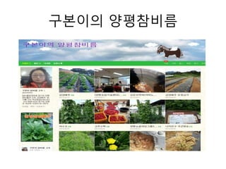 구본이의 양평참비름 
 