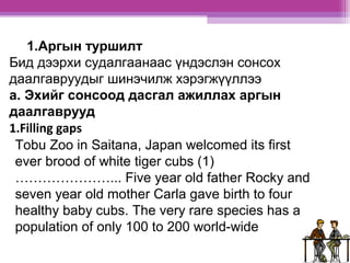 1.Аргын туршилт 
Бид дээрхи судалгаанаас үндэслэн сонсох 
даалгавруудыг шинэчилж хэрэгжүүллээ 
а. Эхийг сонсоод дасгал ажиллах аргын 
даалгаврууд 
1.Filling gaps 
Tobu Zoo in Saitana, Japan welcomed its first 
ever brood of white tiger cubs (1) 
…………………... Five year old father Rocky and 
seven year old mother Carla gave birth to four 
healthy baby cubs. The very rare species has a 
population of only 100 to 200 world-wide 
 