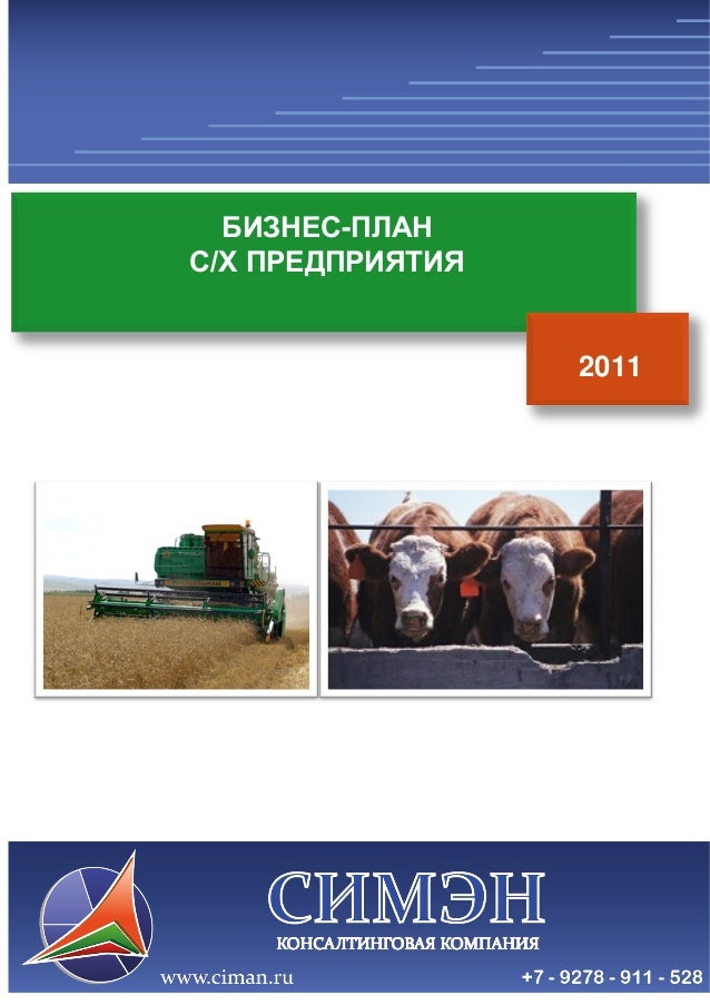 Бизнес план образец Бизнес план образец