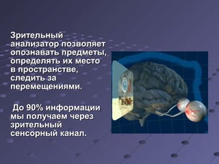 ЗЗррииттееллььнныыйй 
ааннааллииззааттоорр ппооззввоолляяеетт 
ооппооззннааввааттьь ппррееддммееттыы,, 
ооппррееддеелляяттьь иихх ммеессттоо 
вв ппррооссттррааннссттввее,, 
ссллееддииттьь ззаа 
ппееррееммеещщеенниияяммии.. 
ДДоо 9900%% ииннффооррммааццииии 
ммыы ппооллууччааеемм ччеерреезз 
ззррииттееллььнныыйй 
ссееннссооррнныыйй ккааннаалл.. 
 
