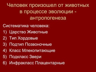 Органы и системы зверя