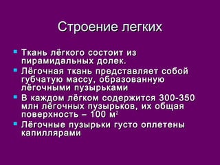 ССттррооееннииее ллееггккиихх 
 ТТккаанньь ллёёггккооггоо ссооссттооиитт иизз 
ппииррааммииддааллььнныыхх ддооллеекк.. 
 ЛЛёёггооччннааяя ттккаанньь ппррееддссттааввлляяеетт ссооббоойй 
ггууббччааттууюю ммаассссуу,, ооббррааззооввааннннууюю 
ллёёггооччнныыммии ппууззыыррььккааммии 
 ВВ ккаажжддоомм ллёёггккоомм ссооддеерржжииттссяя 330000--335500 
ммллнн ллёёггооччнныыхх ппууззыыррььккоовв,, иихх ооббщщааяя 
ппооввееррххннооссттьь –– 110000 мм22 
 ЛЛёёггооччнныыее ппууззыыррььккии ггууссттоо ооппллееттеенныы 
ккааппиилллляяррааммии 
 