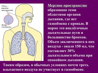 ММееррттввооее ппррооссттррааннссттввоо 
образовано теми 
областями органов 
дыхания, где нет 
газообмена с кровью. В 
норме это внелёгочные 
дыхательные пути и 
большинство бронхов. 
Объем заключенного в них 
воздуха - около 150 мл, что 
составляет 30% 
дыхательного объема при 
спокойном дыхании. 
Таким образом, в обычных условиях почти треть 
вдыхаемого воздуха не участвует в газообмене. 
 