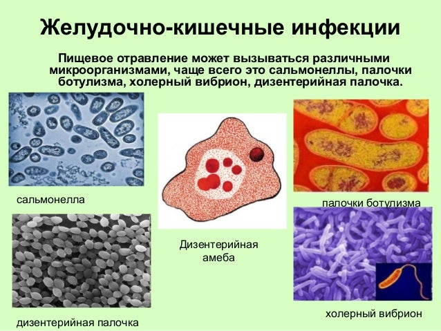 заболевания жкт