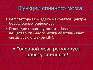 ФФууннккццииии ссппииннннооггоо ммооззггаа 
 РРееффллееккттооррннааяя –– ззддеессьь ннааххооддяяттссяя ццееннттррыы 
ббееззууссллооввнныыхх ррееффллееккссоовв 
 ППррооввооддннииккооввааяя ффууннккцциияя –– ббееллооее 
ввеещщеессттввоо ссппииннннооггоо ммооззггаа ооббеессппееччииввааеетт 
ссввяяззьь ввссеехх ооттддееллоовв ЦЦННСС 
 ГГооллооввнноойй ммооззгг ррееггууллииррууеетт 
ррааббооттуу ссппииннннооггоо!! 
 