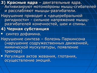 33)) ККрраасснныыее яяддрраа –– ддввииггааттееллььнныыее яяддрраа.. 
ААккттииввииззииррууюютт ммооттооннееййрроонныы ммыышшцц--ссггииббааттееллеейй 
ии рраассссллаабблляяюютт ммыышшццыы--ррааззггииббааттееллии.. 
ННаарруушшееннииее ппррииввооддиитт кк «ддееццееррееббррааллььнноойй 
ррииггииддннооссттии» -- ссииллььннооее ннааппрряяжжееннииее ммыышшцц-- 
ррааззггииббааттееллеейй ккооннееччннооссттеейй,, шшееии ии ссппиинныы.. 
44)) ЧЧееррннааяя ссууббссттааннцциияя 
 ссииннттеезз ддооффааммииннаа.. 
ННаарруушшееннииее ссииннттееззаа –– ббооллееззнньь ППааррккииннссооннаа 
((ннаарруушшееннииее ссооддрруужжеессттввеенннныыхх ддввиижжееннииеейй,, 
ммииммииччеессккоойй ммууссккууллааттууррыы,, ппоояяввллееннииее 
ттррееммоорраа)) 
 РРееггуулляяцциияя ааккттоовв жжеевваанниияя,, ггллооттаанниияя,, 
ооссуущщеессттввллееннииее ээммооцциийй.. 
 