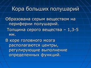 ККоорраа ббооллььшшиихх ппооллуушшаарриийй 
ООббррааззооввааннаа ссееррыымм ввеещщеессттввоомм ннаа 
ппееррииффееррииии ппооллуушшаарриийй.. 
ТТооллщщииннаа ссееррооггоо ввеещщеессттвваа –– 11,,33--55 
мммм.. 
ВВ ккооррее ггооллооввннооггоо ммооззггаа 
рраассппооллааггааююттссяя ццееннттррыы,, 
ррееггууллииррууюющщииее ввыыппооллннееннииее 
ооппррееддееллеенннныыхх ффууннккцциийй.. 
 