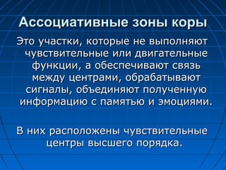 ААссссооццииааттииввнныыее ззоонныы ккооррыы 
ЭЭттоо ууччаассттккии,, ккооттооррыыее ннее ввыыппооллнняяюютт 
ччууввссттввииттееллььнныыее ииллии ддввииггааттееллььнныыее 
ффууннккццииии,, аа ооббеессппееччииввааюютт ссввяяззьь 
ммеежжддуу ццееннттррааммии,, ооббррааббааттыыввааюютт 
ссииггннааллыы,, ооббъъееддиинняяюютт ппооллууччееннннууюю 
ииннффооррммааццииюю сс ппааммяяттььюю ии ээммооцциияяммии.. 
ВВ нниихх рраассппооллоожжеенныы ччууввссттввииттееллььнныыее 
ццееннттррыы ввыыссшшееггоо ппоорряяддккаа.. 
 