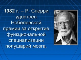 11998822 гг.. –– РР.. ССппееррррии 
ууддооссттооеенн 
ННооббееллееввссккоойй 
ппррееммииии ззаа ооттккррыыттииее 
ффууннккццииооннааллььнноойй 
ссппееццииааллииззааццииии 
ппооллуушшаарриийй ммооззггаа.. 
 