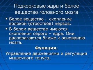 Подкорковые яяддрраа ии ббееллооее 
ввеещщеессттввоо ггооллооввннооггоо ммооззггаа 
 ББееллооее ввеещщеессттввоо –– ссккооппллееннииее 
ввооллооккоонн ((ооттррооссттккоовв)) ннееррввоовв.. 
 ВВ ббееллоомм ввеещщеессттввее ииммееююттссяя 
ссккооппллеенниияя ссееррооггоо –– яяддрраа.. ООннии 
рраассппооллааггааююттссяя ббллиижжее кк ооссннооввааннииюю 
ммооззггаа.. 
ФФууннккцциияя:: 
УУппррааввллееннииее ддввиижжеенниияяммии ии ррееггуулляяцциияя 
ммыышшееччннооггоо ттооннууссаа.. 
 