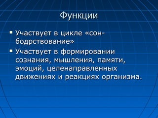 ФФууннккццииии 
 УУччаассттввууеетт вв ццииккллее «ссоонн-- 
ббооддррссттввооввааннииее» 
 УУччаассттввууеетт вв ффооррммииррооввааннииии 
ссооззннаанниияя,, ммыышшллеенниияя,, ппааммяяттии,, 
ээммооцциийй,, ццееллееннааппррааввллеенннныыхх 
ддввиижжеенниияяхх ии ррееааккцциияяхх ооррггааннииззммаа.. 
