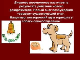 Внешнее торможение наступает в 
Внешнее торможение 
результате действия нового 
раздражителя. Новый очаг возбуждения 
тормозит существующий очаг. 
Например, посторонний шум тормозит у 
собаки слюноотделение. 
 
