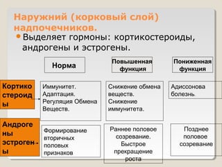 Наружний (корковый слой) 
надпочечников. 
Выделяет гормоны: кортикостероиды, 
андрогены и эстрогены. 
Норма 
Повышенная 
функция 
Пониженная 
функция 
Кортико 
стероид 
ы 
Иммунитет. 
Адаптация. 
Регуляция Обмена 
Веществ. 
Снижение обмена 
веществ. 
Снижение 
иммунитета. 
Адиссонова 
болезнь. 
Андроге 
ны 
эстроген 
ы 
Формирование 
вторичных 
половых 
признаков 
Раннее половое 
созревание. 
Быстрое 
прекращение 
роста 
Позднее 
половое 
созревание 
 