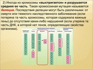 2) Иногда из хромосомы «выстригается» и разрушается 
средняя ее часть. Такая хромосомная мутация называется 
делеция. Последствия делеции могут быть различными: от 
смерти или тяжелого наследственного заболевания (если 
потеряна та часть хромосомы, которая содержала важные 
гены) до отсутствия каких-либо нарушений (если утеряна та 
часть ДНК, в которой нет генов, определяющих свойства 
организма). 
 