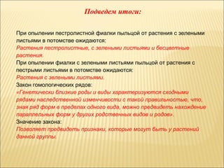 Подведем итоги: 
При опылении пестролистной фиалки пыльцой от растения с зелеными 
листьями в потомстве ожидаются: 
Растения пестролистные, с зелеными листьями и бесцветные 
растения. 
При опылении фиалки с зелеными листьями пыльцой от растения с 
пестрыми листьями в потомстве ожидаются: 
Растения с зелеными листьями. 
Закон гомологических рядов: 
«Генетически близкие роды и виды характеризуются сходными 
рядами наследственной изменчивости с такой правильностью, что, 
зная ряд форм в пределах одного вида, можно предвидеть нахождение 
параллельных форм у других родственных видов и родов». 
Значение закона: 
Позволяет предвидеть признаки, которые могут быть у растений 
данной группы. 
