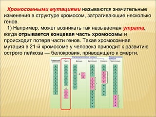 Хромосомными мутациями называются значительные 
изменения в структуре хромосом, затрагивающие несколько 
генов. 
1) Например, может возникать так называемая утрата, 
когда отрывается концевая часть хромосомы и 
происходит потеря части генов. Такая хромосомная 
мутация в 21-й хромосоме у человека приводит к развитию 
острого лейкоза — белокровия, приводящего к смерти. 
 