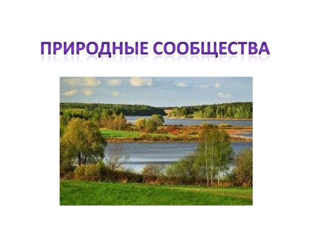 Что такое природное сообщество пятый класс. Природное сообщество река. картины природных сообществ. природное сообщество озеро.