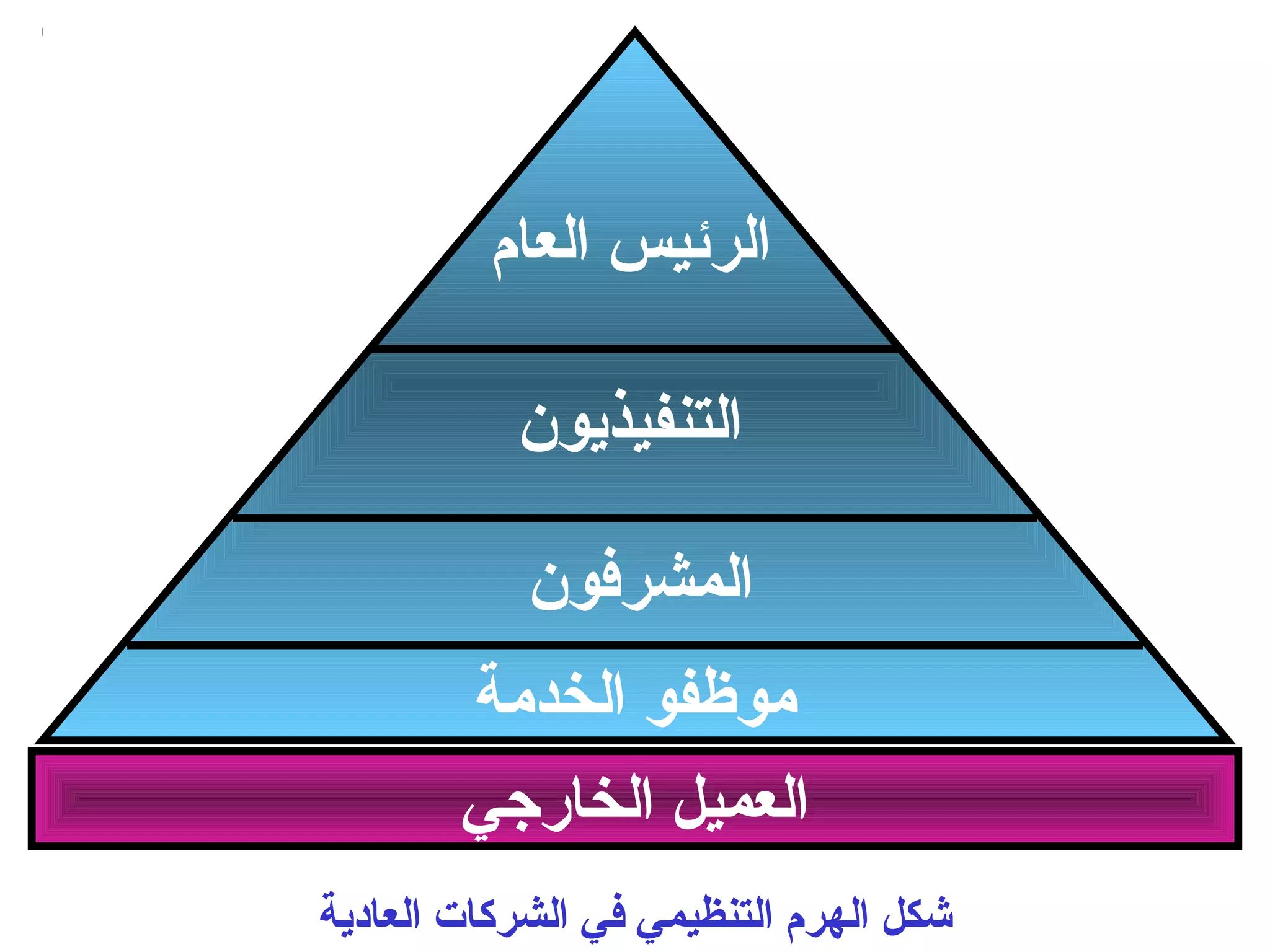 الرئيس العام 
التنفيذيون 
المشرفون 
موظفو الخدمة 
العميل الخارجي 
شكل الهرم التنظيمي في الشركثات العادية 
 