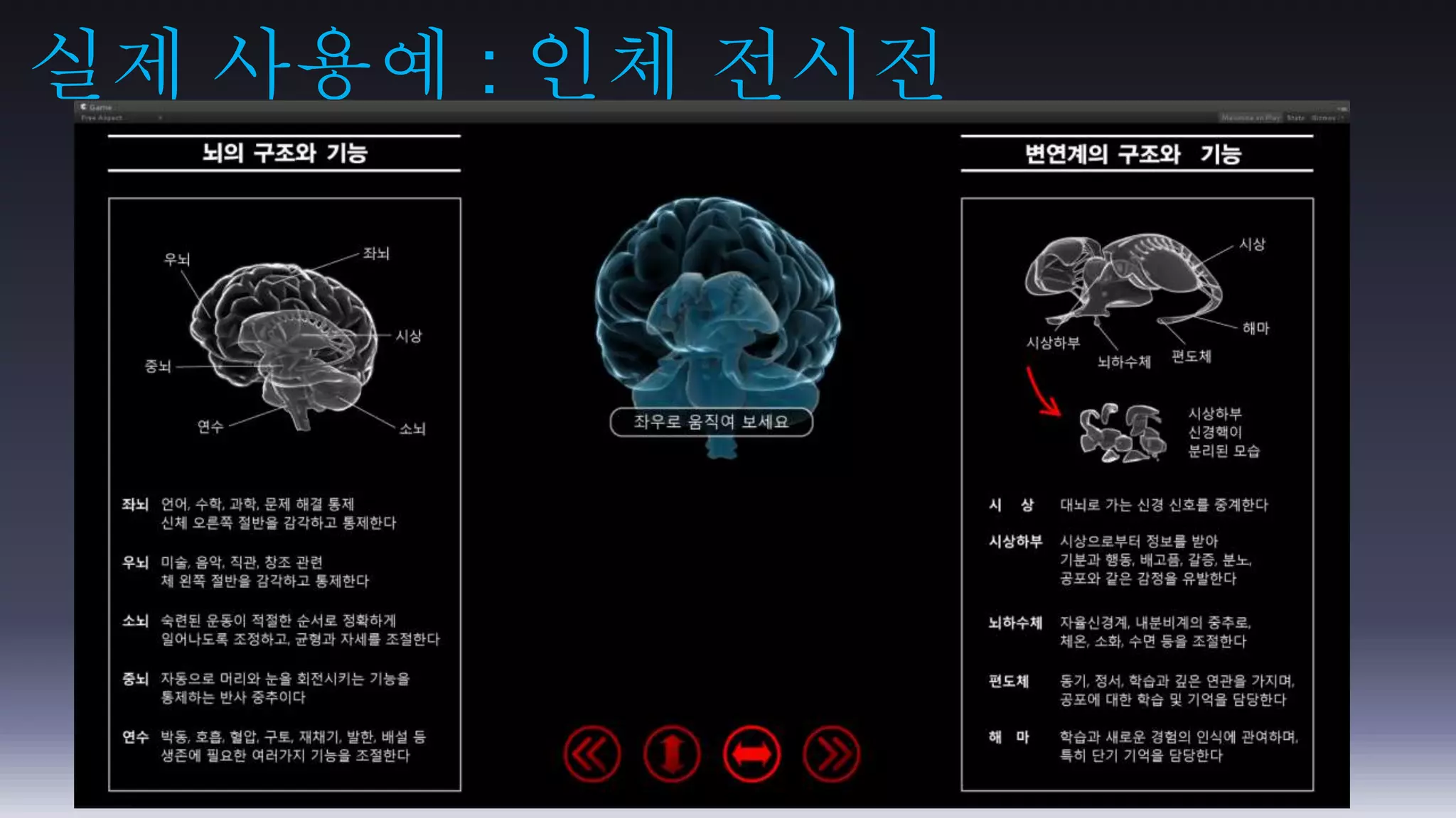 실제 사용예 : 인체 전시전 
 