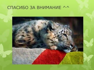 СПАСИБО ЗА ВНИМАНИЕ ^^ 
