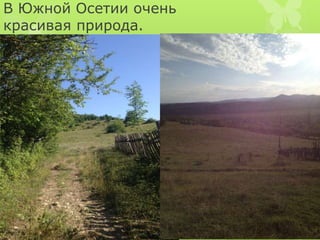 В Южной Осетии очень 
красивая природа. 
 