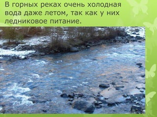 В горных реках очень холодная 
вода даже летом, так как у них 
ледниковое питание. 
 