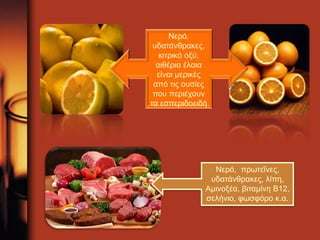 Νερό, 
υδατάνθρακες, 
κιτρικό οξύ, 
αιθέρια έλαια 
είναι μερικές 
από τις ουσίες 
που περιέχουν 
τα εσπεριδοειδή 
Νερό, πρωτεΐνες, 
υδατάνθρακες, λίπη, 
Αμινοξέα, βιταμίνη Β12, 
σελήνιο, φωσφόρο κ.α. 
 