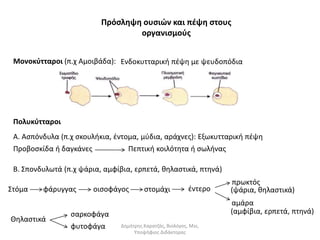 Πρόσληψη ουσιών και πέψη στους 
οργανισμούς 
Μονοκύτταροι (π.χ Αμοιβάδα): Ενδοκυτταρική πέψη με ψευδοπόδια 
Πολυκύτταροι 
Α. Ασπόνδυλα (π.χ σκουλήκια, έντομα, μύδια, αράχνες): Εξωκυτταρική πέψη 
Προβοσκίδα ή δαγκάνες Πεπτική κοιλότητα ή σωλήνας 
Β. Σπονδυλωτά (π.χ ψάρια, αμφίβια, ερπετά, θηλαστικά, πτηνά) 
Στόμα φάρυγγας οισοφάγος στομάχι έντερο 
πρωκτός 
(ψάρια, θηλαστικά) 
αμάρα 
(αμφίβια, ερπετά, πτηνά) 
Θηλαστικά 
σαρκοφάγα 
φυτοφάγα Δημήτρης Καρατζάς, Βιολόγος, Msc, 
Υποψήφιος Διδάκτορας 
 