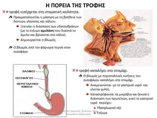Η ΠΟΡΕΙΑ ΤΗΣ ΤΡΟΦΗΣ 
H τροφή εισέρχεται στη στοματική κοιλότητα. 
Πραγματοποιείται η μάσηση με τη βοήθεια των 
δοντιών, γλώσσας και σάλιου. 
Ξεκινάει η διάσπαση των υδατανθράκων 
(με το ένζυμο αμυλάση που διασπά το 
άμυλο και βρίσκεται στο σάλιο). 
Δημιουργείται ο βλωμός. 
Ο βλωμός από τον φάρυγγα περνά στον 
οισοφάγο. 
H τροφή καταλήγει στο στομάχι. 
Ο βλωμός με περισταλτικές κινήσεις του 
οισοφάγου καταλήγει στο στομάχι. 
Αναμειγνύεται με το γαστρικό υγρό και 
γίνεται χυλός. 
Καταστρέφονται τα μικρόβια και ξεκινά η 
διάσπαση των πρωτεϊνών, γιατί το γαστρικό 
υγρό περιέχει: 
Υδροχλωρικό οξύ 
Ένζυμα 
Δημήτρης Καρατζάς, Βιολόγος, Msc, 
Υποψήφιος Διδάκτορας 
 