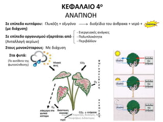 ΚΕΦΑΛΑΙΟ 4ο 
ΑΝΑΠΝΟΗ 
Σε επίπεδο κυττάρου: 
(με διάχυση) 
Γλυκόζη + οξυγόνο διοξείδιο του άνθρακα + νερό + ΕΝΕΡΓΕΙΑ 
Σε επίπεδο οργανισμού εξαρτάται από 
(Ανταλλαγή αερίων) 
- Ενεργειακές ανάγκες 
- Πολυπλοκότητα 
- Περιβάλλον 
Στους μονοκύτταρους: Με διάχυση 
Στα φυτά: 
(Το αντίθετο της 
φωτοσύνθεσης) 
Δημήτρης Καρατζάς, Βιολόγος, Msc, 
Υποψήφιος Διδάκτορας 
 